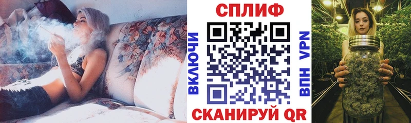 дарнет шоп Усолье Бошки Шишки план